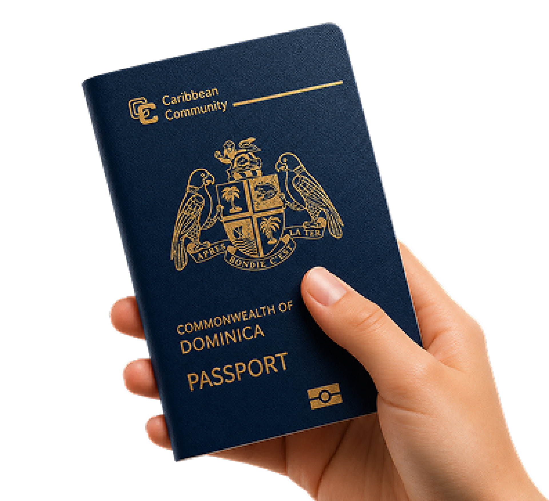 Готовы обеспечить свое гражданство Доминики?