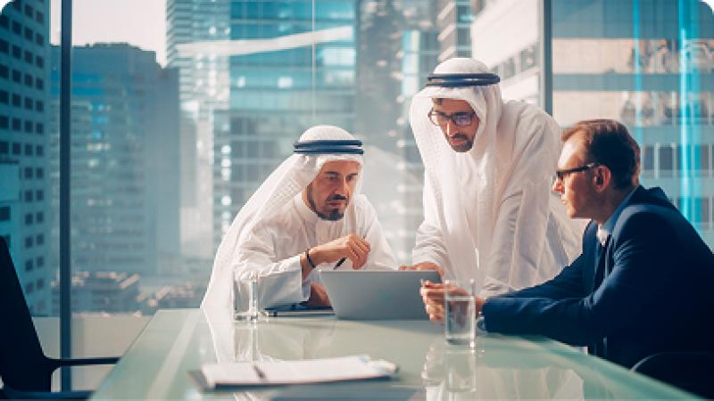 UAE Compliance Service