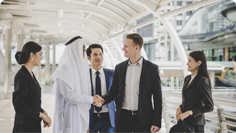 UAE PRO Services